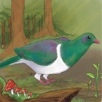 kereru