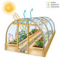 greenhouse