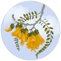 kowhai