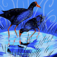 pukeko potion