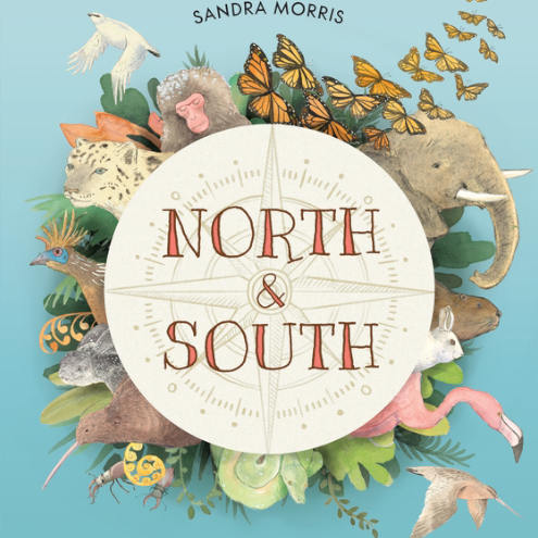 Magazine Illustration