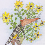 Christine Brown New Zealand illustrator natural history, botanical illustration educational, historical fiction, fiction and non-fiction