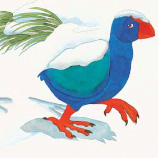 Story book drawings and illustration by Samer Hatam illustrator artist