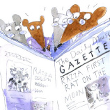 Astrid Matjaseviah illustration illustrator artist drawing NZ New Zealand