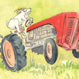 Jane Smith NZ painter illustration New Zealand graphic designer illustration book and painting cartoons